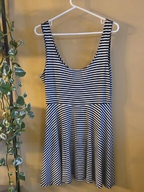 Striped Black and White Scoop Neck Skater Dress